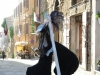 Il Minotauro alla Giostra dell'Archidado  - Cortona 2015
